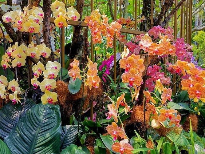 img-20190908-153849-largejpg