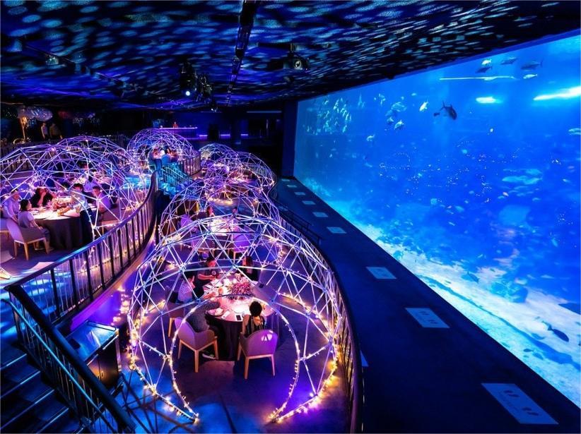 sg_sea_aquarium_aqua_gastronomy
